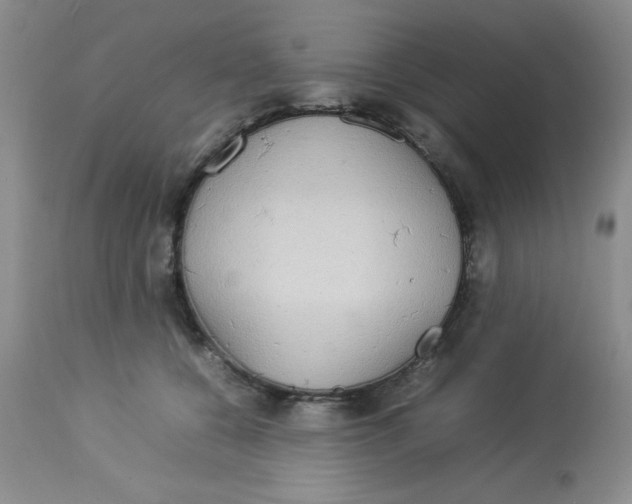 X0000112830560200909181652