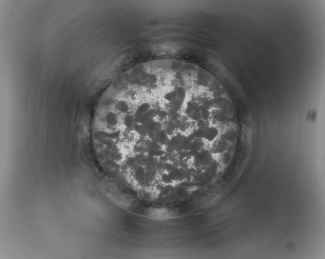 X0000112830561200909181652