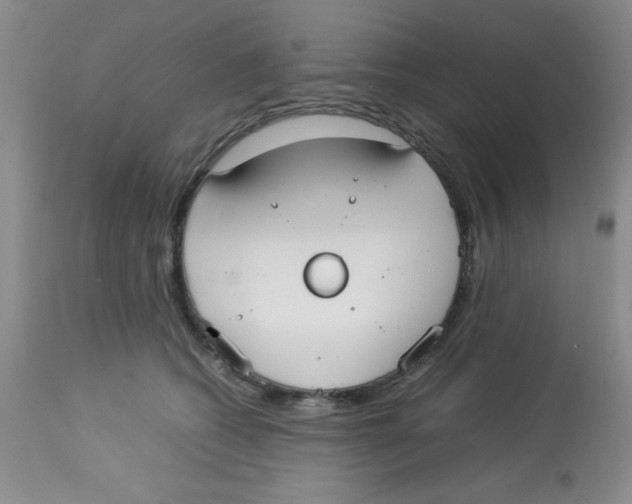 X0000112830562200909181652