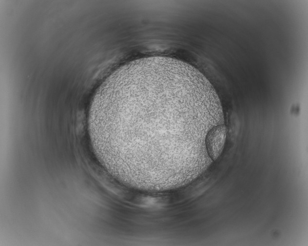 X0000112830563200909181652