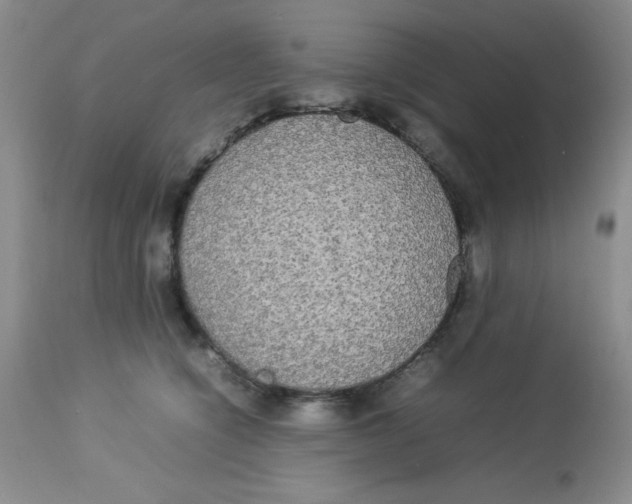 X0000112830564200909181652