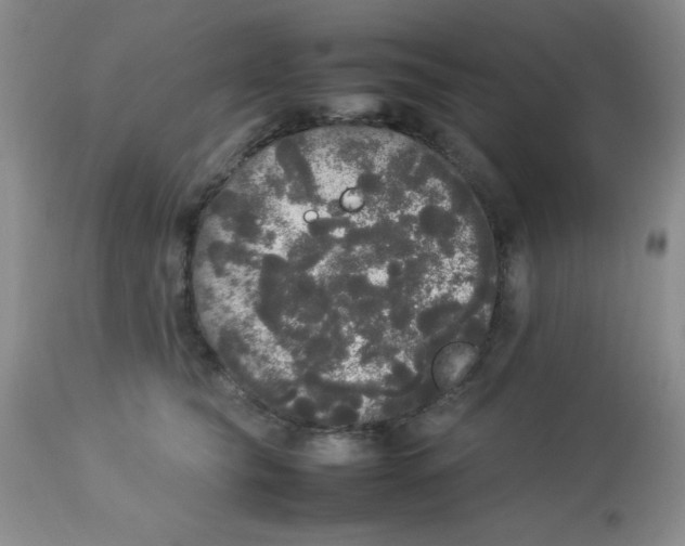 X0000112830565200909181652