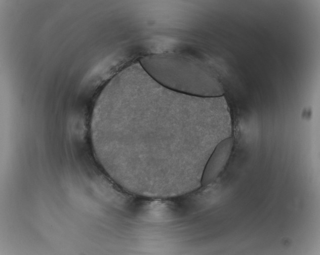 X0000112830566200909181652