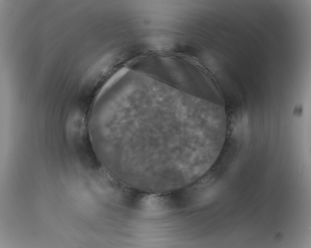 X0000112830568200909181652