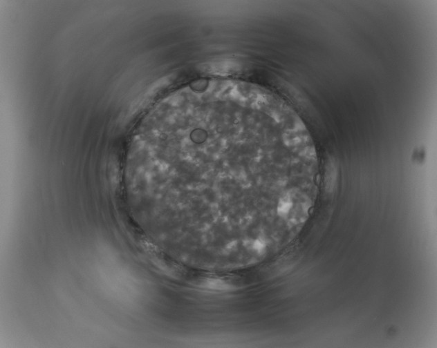 X0000112830569200909181652