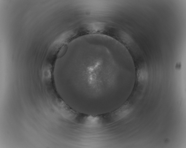 X0000112830570200909181652