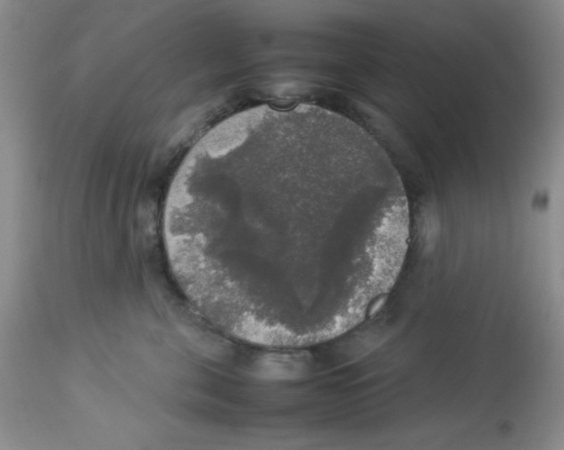 X0000112830571200909181652