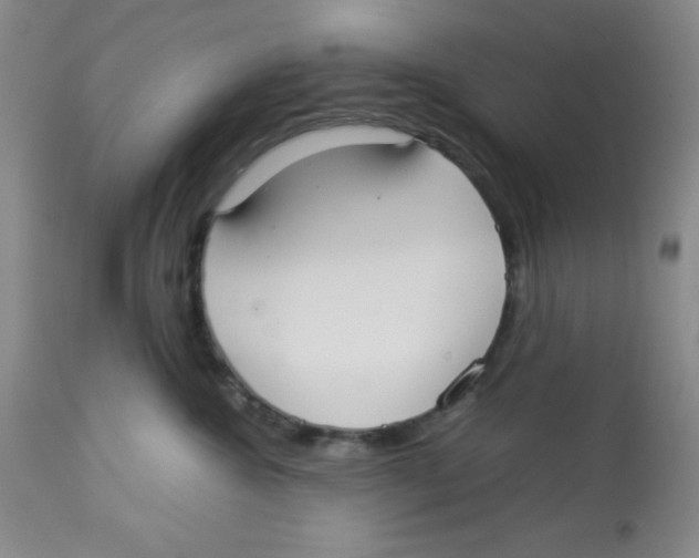 X0000112830572200909181652