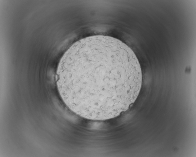 X0000112830575200909181652