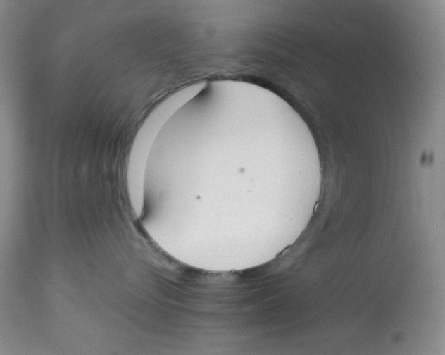 X0000112830576200909181652