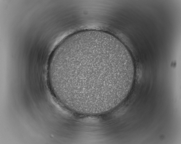 X0000112830578200909181651