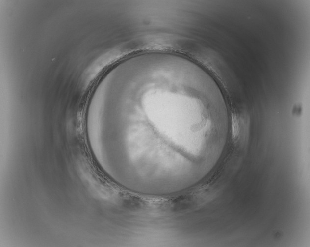 X0000112830579200909181651