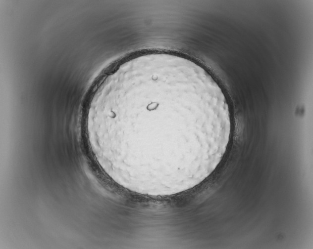 X0000112830580200909181651