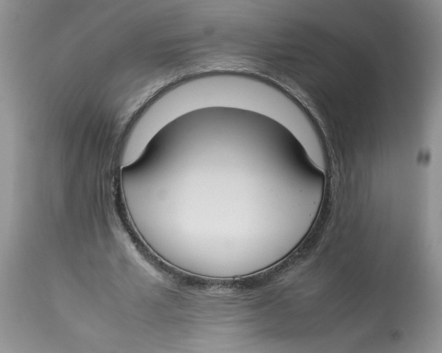 X0000112830581200909181651