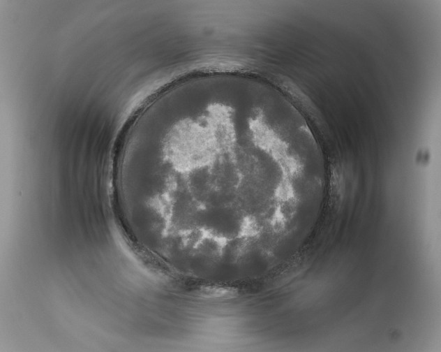 X0000112830582200909181651