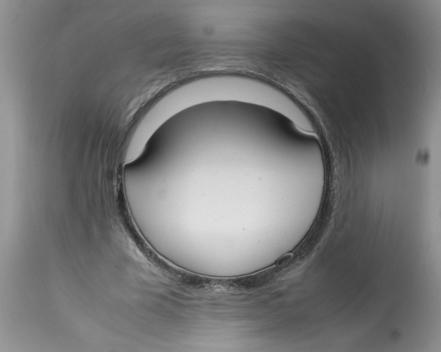 X0000112830585200909181651