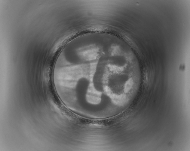 X0000112830586200909181651