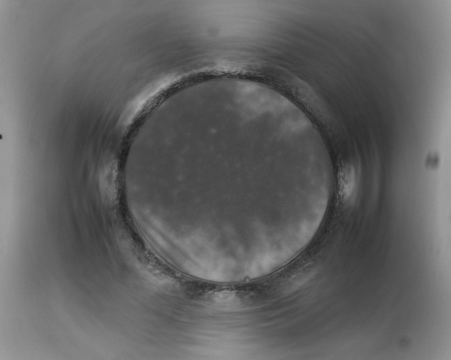 X0000112830588200909181651