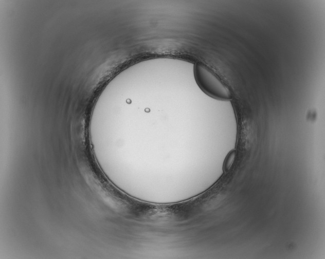 X0000112830589200909181651