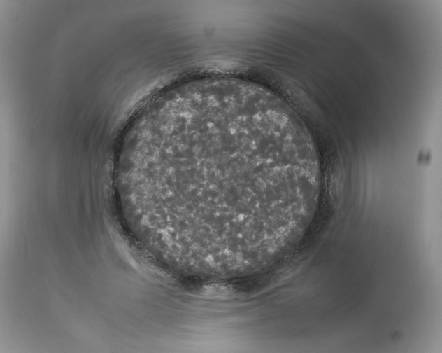 X0000112830591200909181651