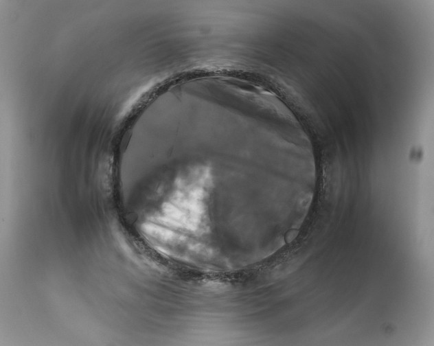 X0000112830592200909181651