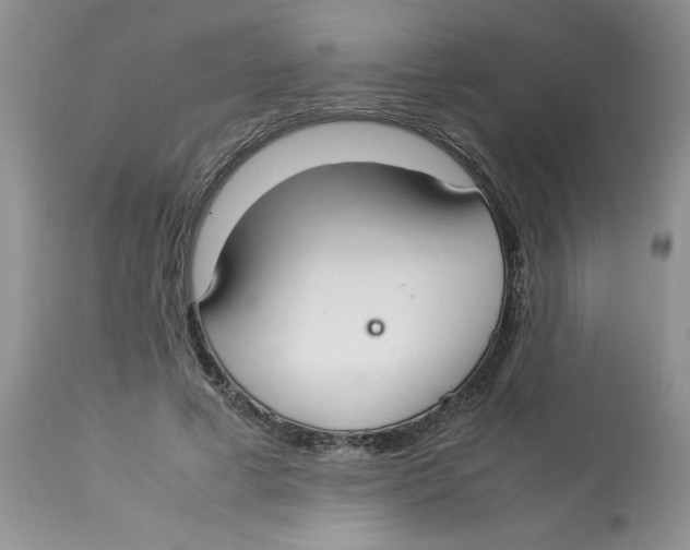 X0000112830593200909181651