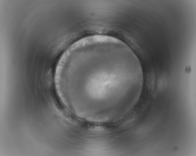 X0000112830594200909181651