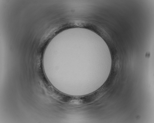 X0000112830595200909181651