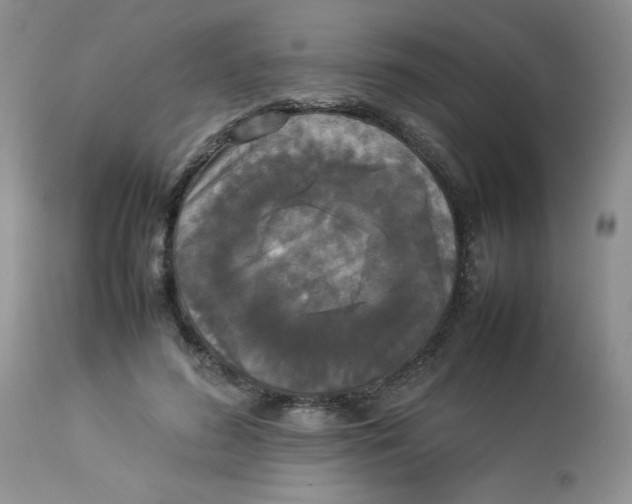 X0000112830596200909181651