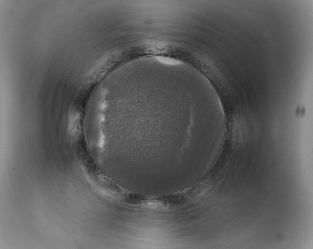 X0000112830598200909181651