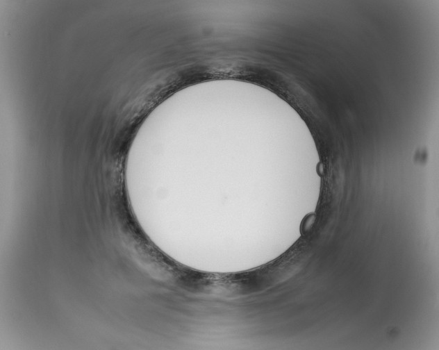 X0000112830601200909181651