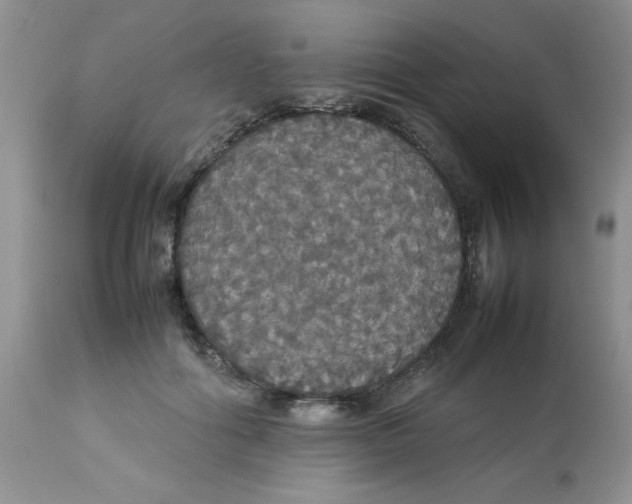 X0000112830602200909181651