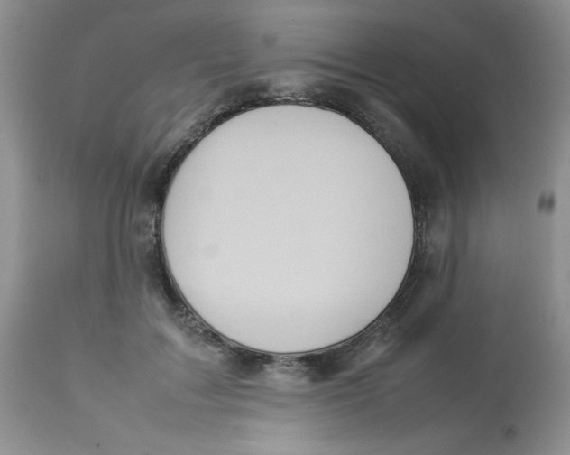 X0000112830603200909181651