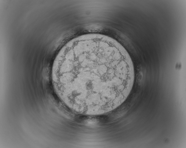 X0000112830604200909181651