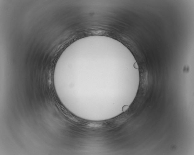 X0000112830606200909181651