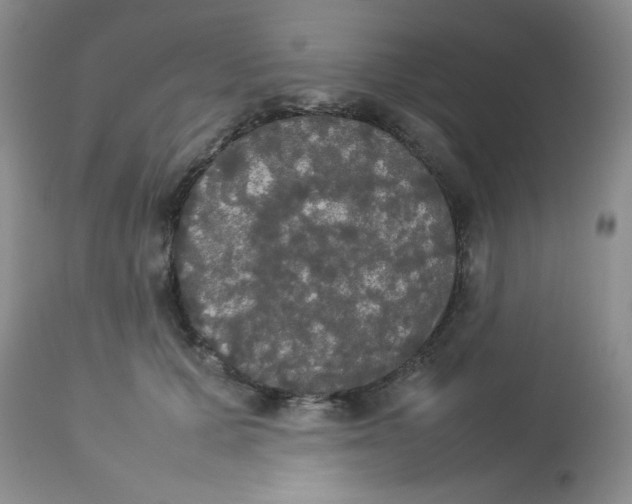 X0000112830607200909181651