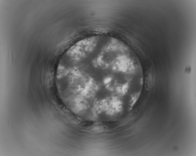 X0000112830608200909181651