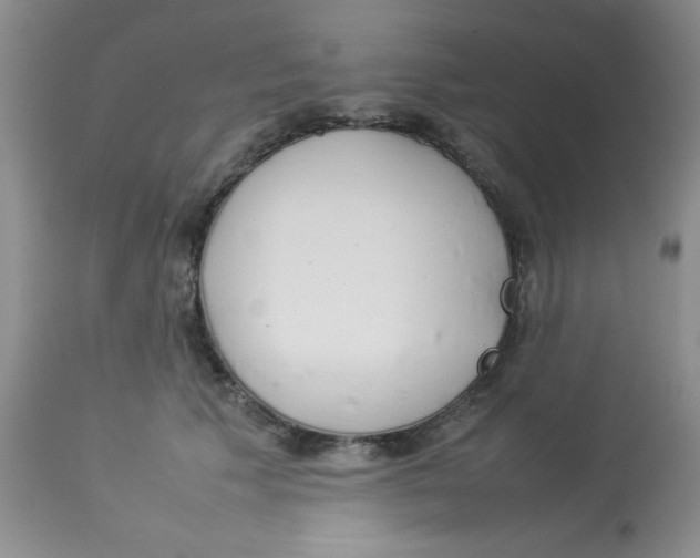 X0000112830609200909181651