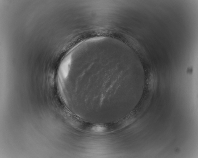 X0000112830610200909181651