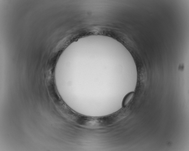 X0000112830611200909181651