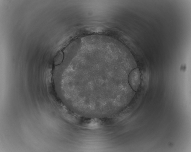 X0000112830612200909181651