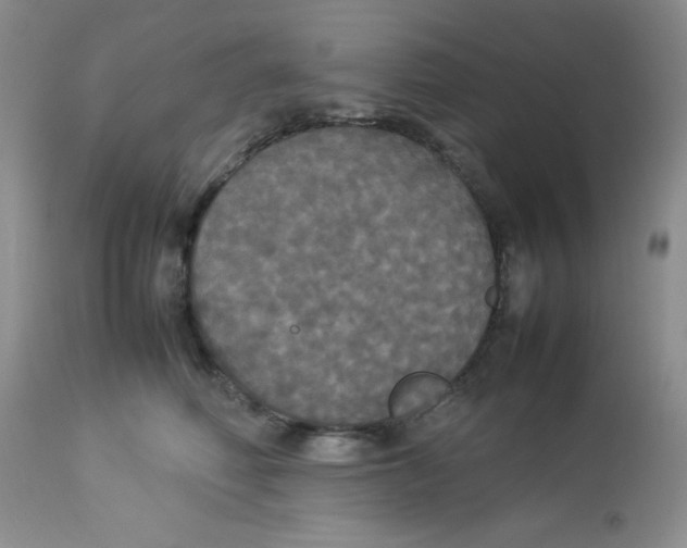 X0000112830614200909181651