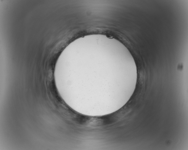 X0000112830617200909181651