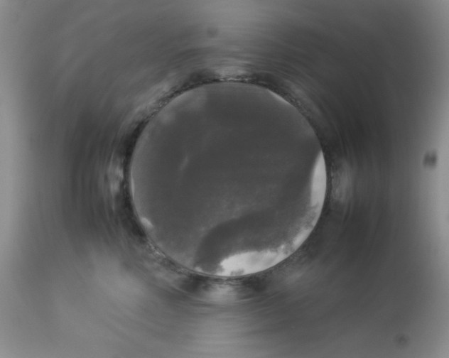 X0000112830618200909181651