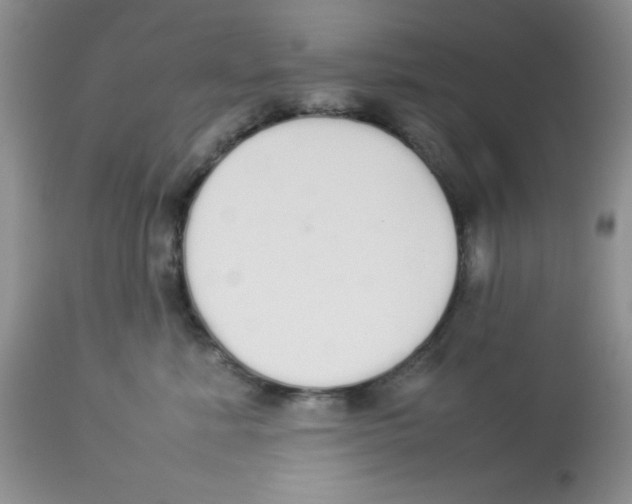 X0000112830619200909181651