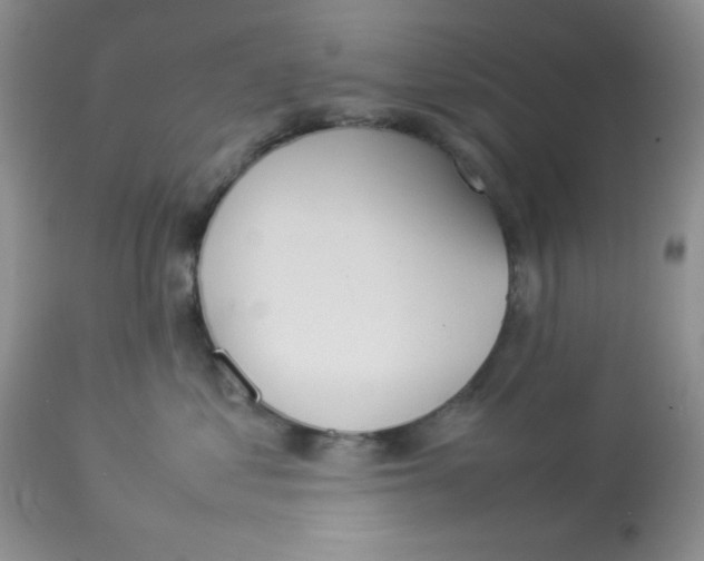 X0000112830621200909181651