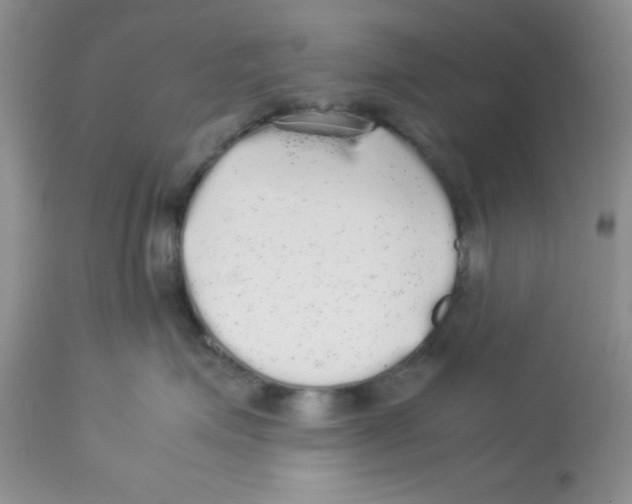 X0000112830623200909181651