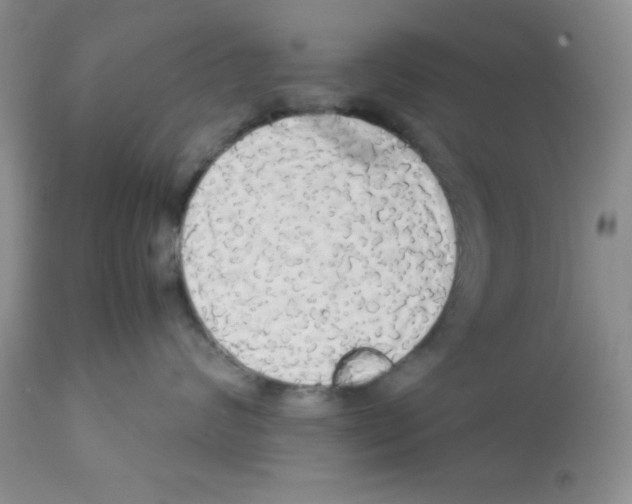 X0000112830624200909181651