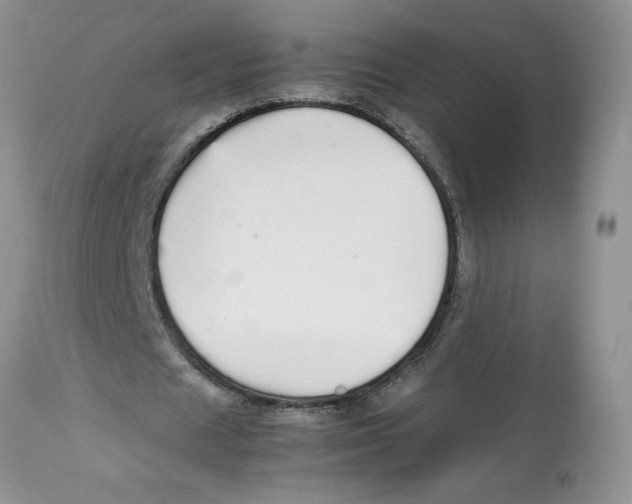 X0000112830625200909181650