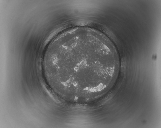 X0000112830626200909181650